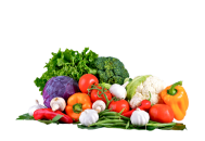 Untitled design (10)